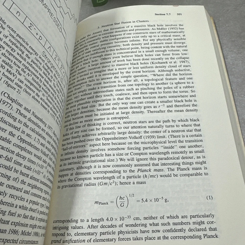 Theoretical Astrophysics Ser.: Theory of Neutron Star Magnetospheres by F....